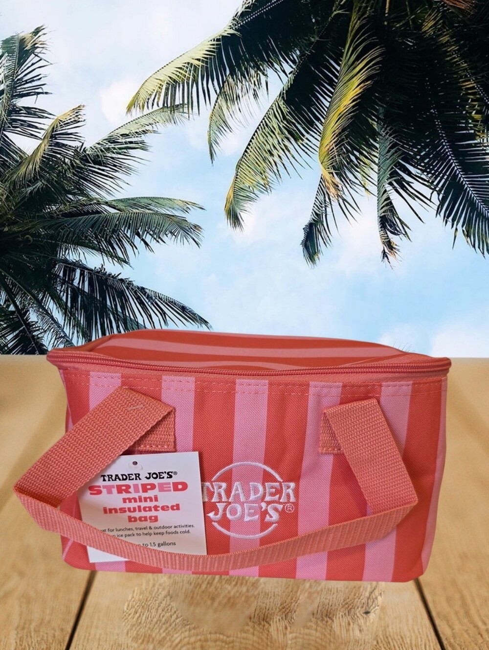 Trader Joe's Striped Mini Insulated Bag-Pink/Light Pink